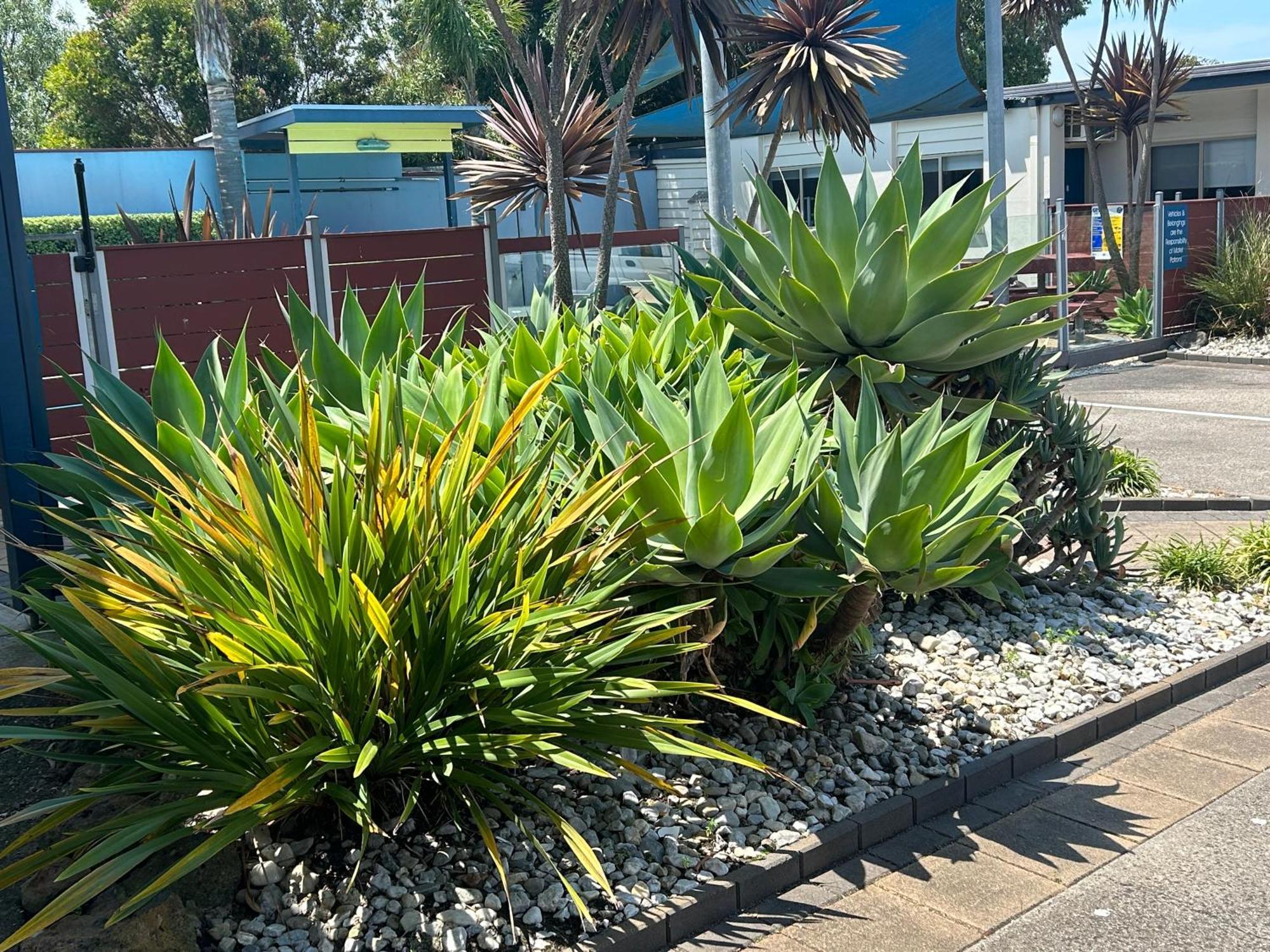 Portarlington Beach Motel Exterior foto